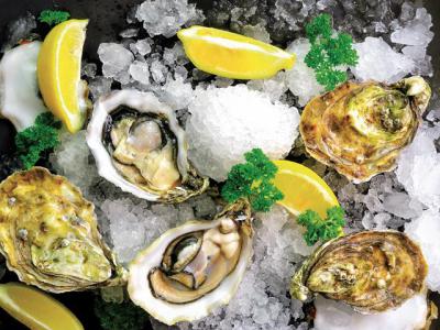 Oysters